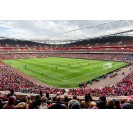 Arsenal Emirates Stadium Tour