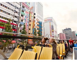 Tokyo Sky Bus Hop-on Hop-off