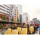 Tokyo Sky Bus Hop-on Hop-off