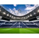 Tottenham Hotspur Stadium Tour