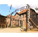 Tour guidato di Auschwitz-Birkenau con trasferimenti