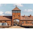 Tour guidato di Auschwitz-Birkenau con trasferimenti