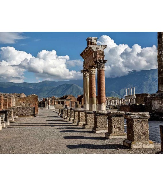 Pompei biglietto di ingresso